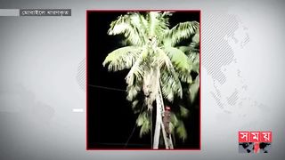 ডাব চুরি করতে গিয়ে গাছেই অঙ্গান চোর
