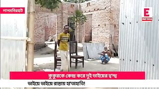 ভাই ভাইয়ের মারামারি
