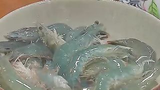 Shrimp from Pacific Ocean
