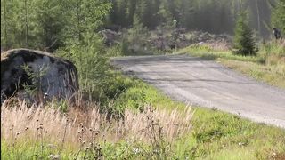 WRC Rally Finland 2019 - 7