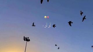 "Madeeeny chalayn"