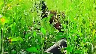Vairal video