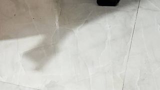 বিড়ালের তিড়িং বিড়িং খেলা