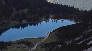 Nature forest the mountain