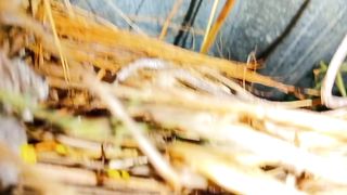 My fast blog
