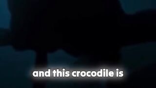 Amazing creature in Ocean ????