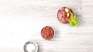 Benefits and risks of a northwestern diet dog food made from natural raw meat