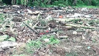 Keluarga pelaku pindah ke daerah lain.sedangkan orang tua korban ada agak jauh dari rumah korban.#penajampaserutarakaltim