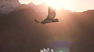 أشهد أن لا إله إلا الله وحده وأشهد أن محمدا رسول الله ????❤????