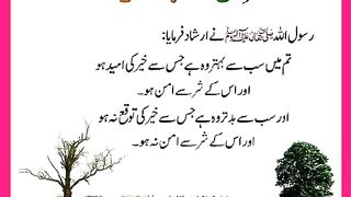 شرعی مسائل اور ان کا حل