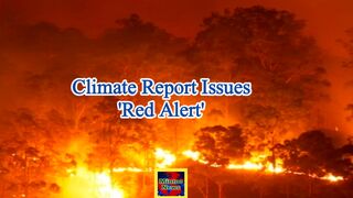 Climate report issues 'red alert' warning after record-breaking temperatures