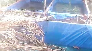 Berikan PASTA sedini mungkin ke larva lele, Agar saat pergantian pakan nanti larva tidak kaget
