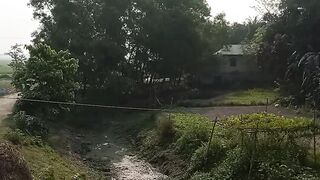 Graming video