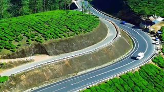 Nature and road