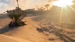 beach sand