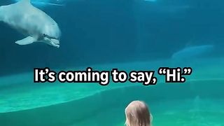 Little girl and super social dolphin stop to have a sweet chat_Humankind