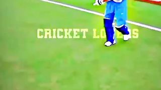 Cricket  Lover