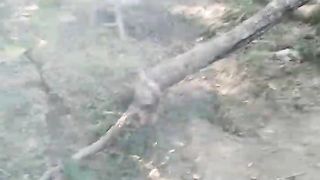 আজকে কোনো ঝগড়া নাই একসাথে মিলেমিশে খেলতেছে