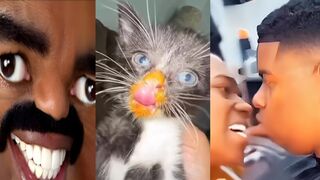 TRY NOT TO LAUGH ???? Best Funny Meme Videos ???????????? PART 71