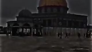فلسطين