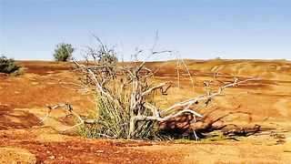 10 Best Placse To visit in Australia