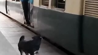 A Dog work for RPF