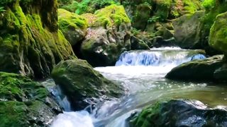 The sound of fresh water, you will feel calm and in harmony with nature