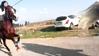 الخيالة