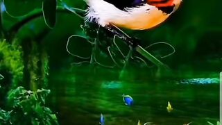 "Melodies of Freedom: The Voice of the Sparrow"