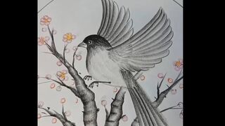 Nice Bird Drawing Technique