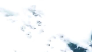 This is why Orcas are the apex predators of the ocean