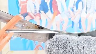 Oddly Satisfying Video To Reduce Your Stress????????- Cat