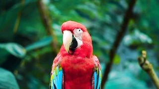 Beauty of Nature