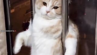 Amar to selfie tultei shorom kore????