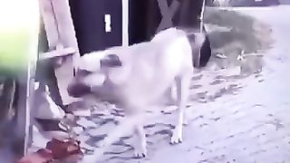 ممنوع الضحك