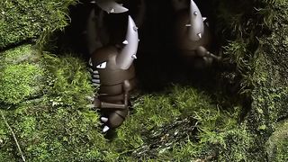 amazine-video