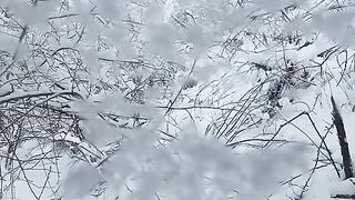 Built a house in the forest at -36 degrees. Part 2