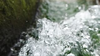 Nature photographs