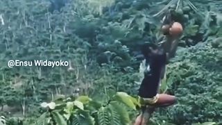Bekkhol
