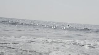 Usa New York Beach