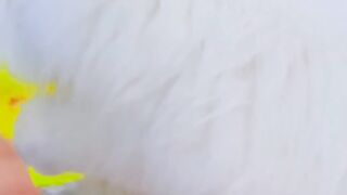 Poshpa  eating