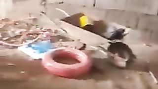 Installation d'eau et d'électricité