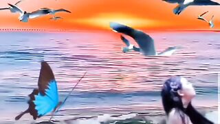 "Graceful Wings: Exploring Nature with Seagulls"