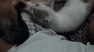 my cutie little cat