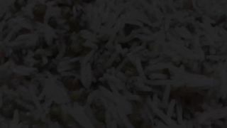 Recipe Egyptian Alexandrian Sayadiyah rice with fish