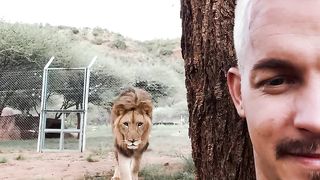 When_a_Lion_Sneaks_up_on_you!????(1080p)