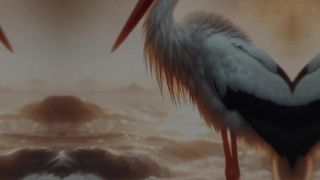 Motivational video