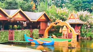 Beautiful Nature of The World