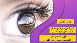الجزء الوحيد في الجسم الذي لا يصل إلى
