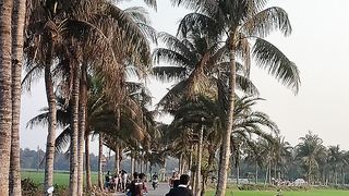 my first Vlog Video 2024 ! Love Bangladesh